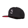 DOTA 2 Metal Logo Cap