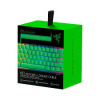 razer pbt keycap + coiled cable upgrade set mercury green
