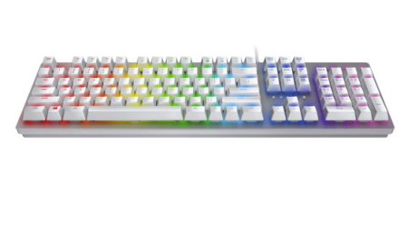 razer huntsman mercury ed.